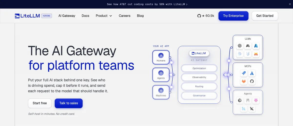 LiteLLM homepage reading the AI gateway for platform teams with a routing diagram