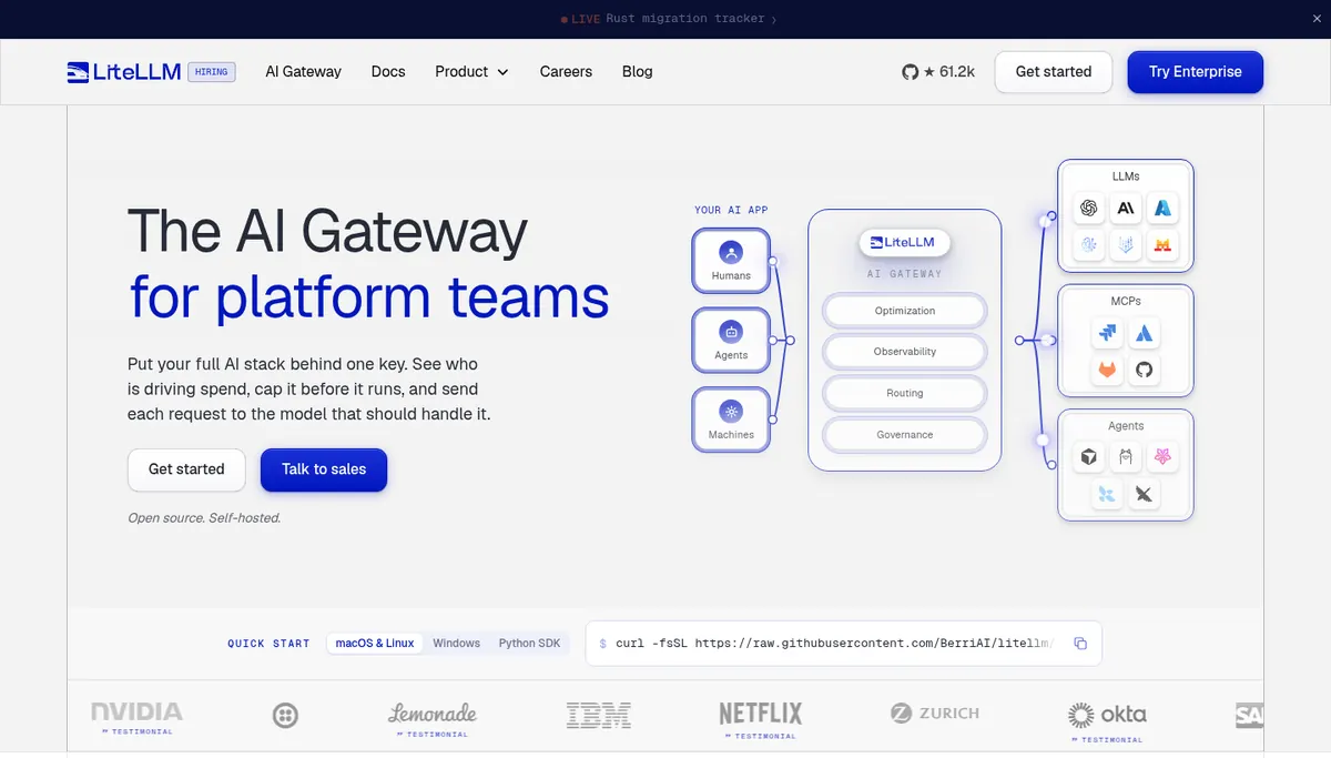 LiteLLM homepage for the open-source AI gateway product