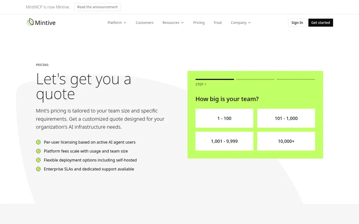 MintMCP Mintive pricing page showing custom pricing and team size bands